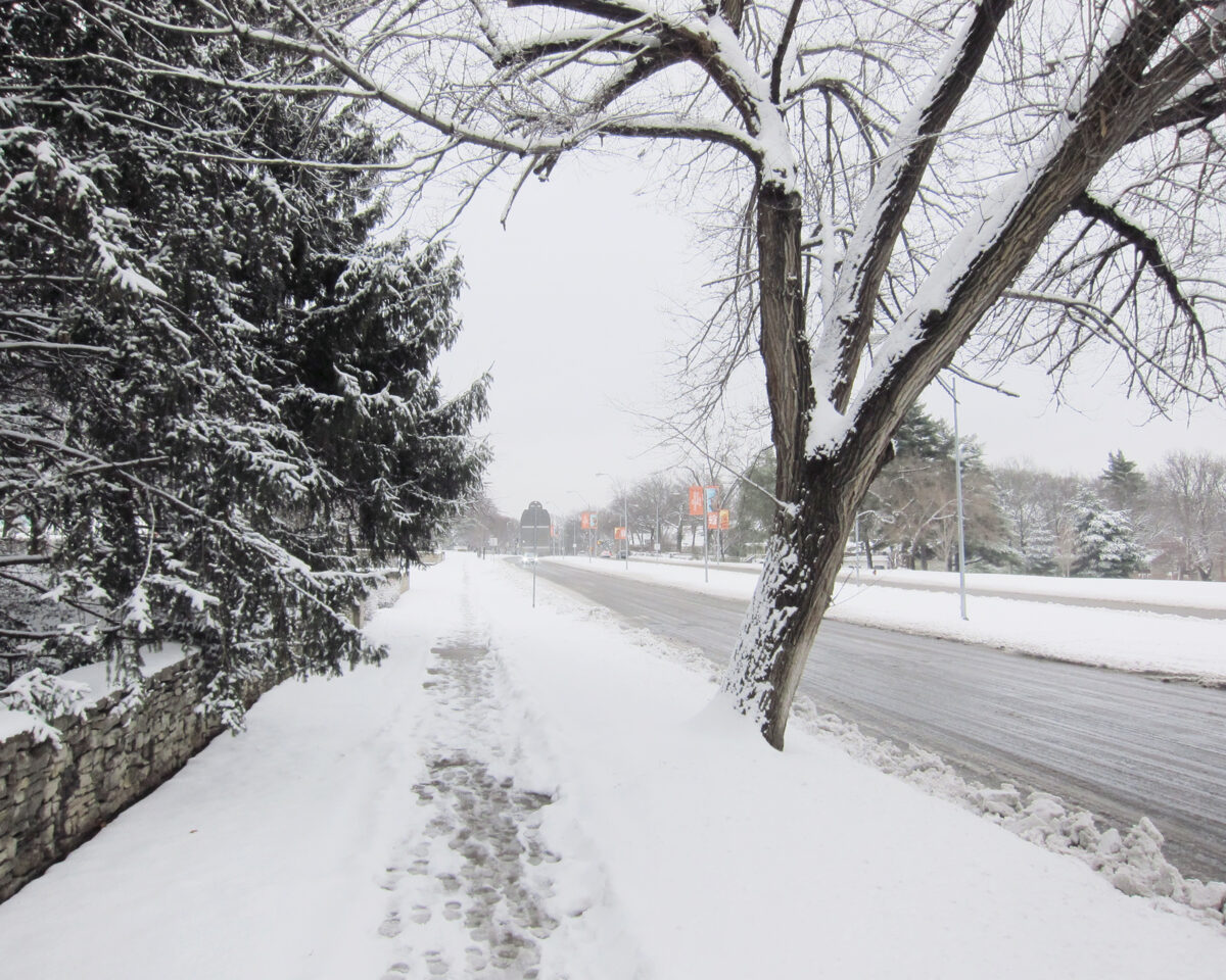 A snow-covered pathway lined with bare trees and evergreen shrubs, with footprints marking a trail through the white landscape. In the distance, a plowed street runs parallel, flanked by lamp posts and additional trees fading into the overcast winter atmosphere.