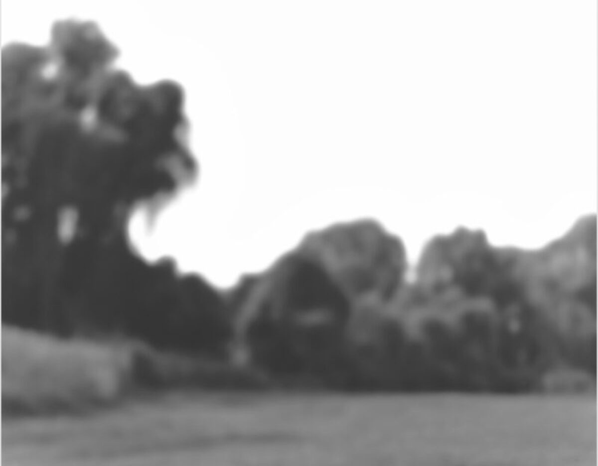 Black and white photograph of a landscape with dense trees and foliage along the horizon, rendered in soft focus with a hazy, dreamlike quality. The composition features a grassy foreground beneath an overcast sky, creating an atmospheric, contemplative scene.
