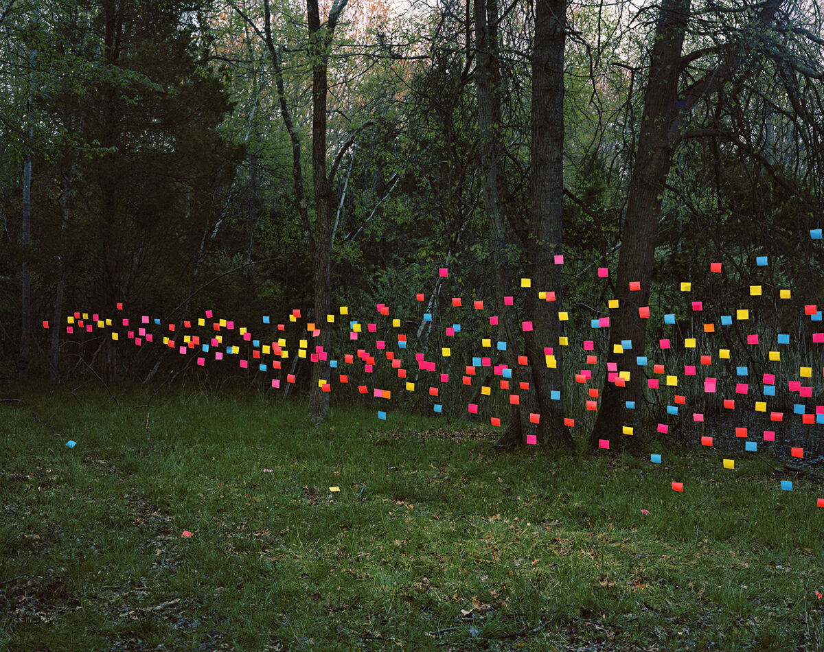 Hundreds of neon-colored Post-it notes arranged in a flowing, wave-like pattern across the base of trees in a dense woodland setting, creating a vibrant contrast against the natural greens and browns of the forest floor.