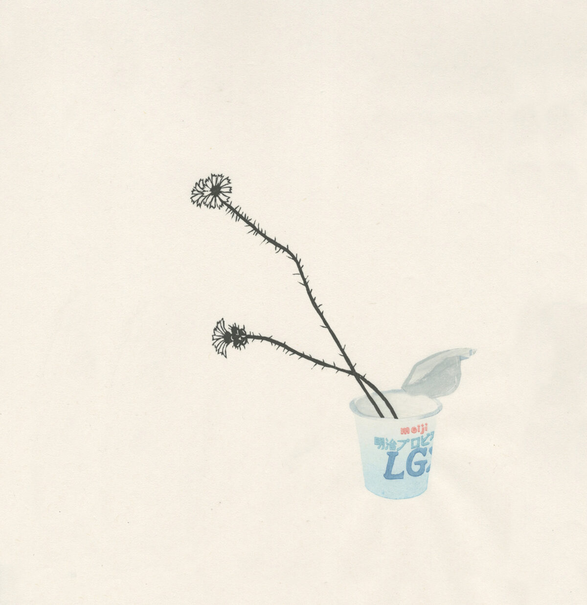 Delicate line drawing of a spiky-stemmed plant with small clustered flowers bending gracefully from a disposable yogurt cup printed with blue text and branding, rendered in black ink and subtle watercolor wash against cream paper.