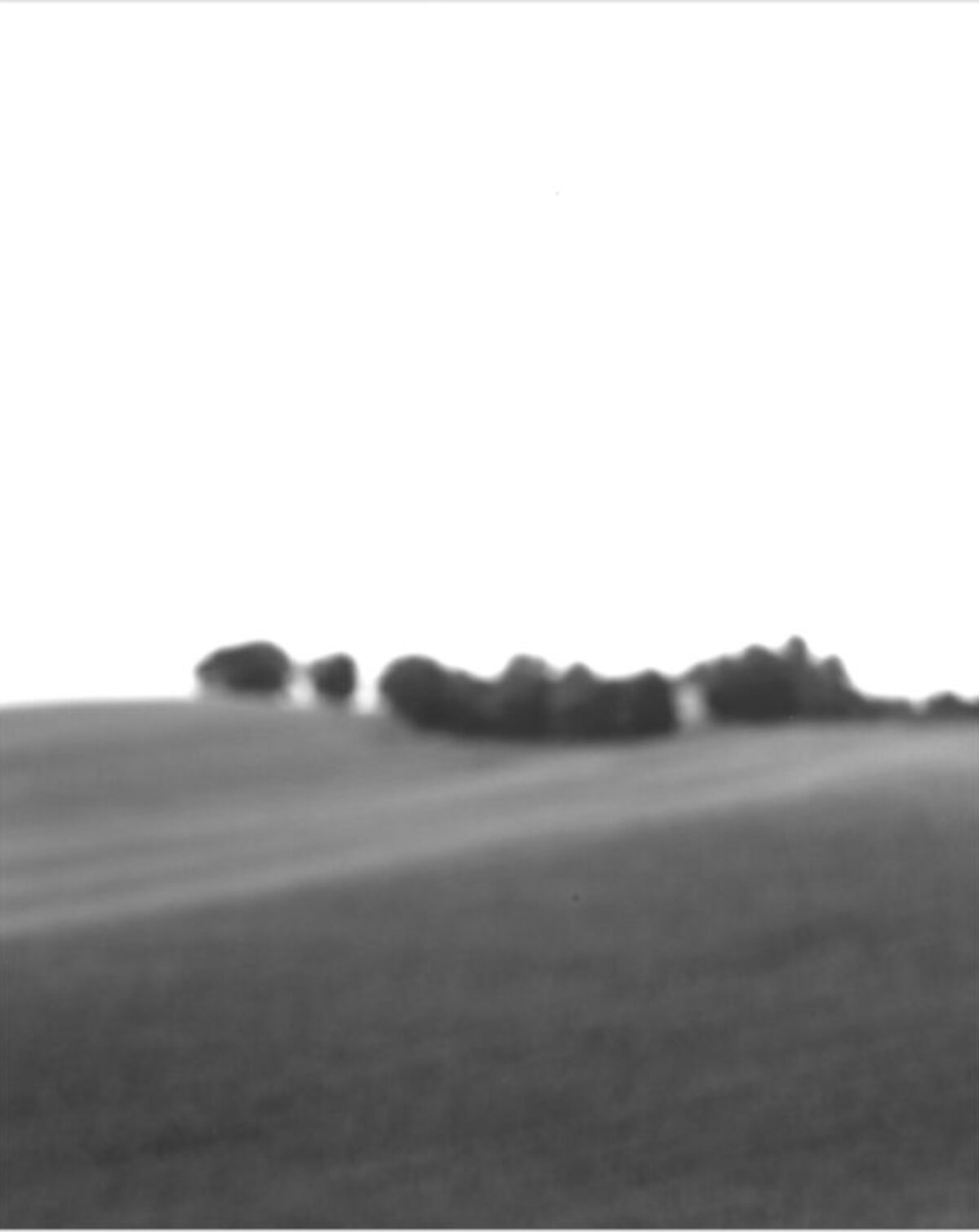 A minimalist black and white landscape featuring a gently rolling field in the foreground with a soft horizon line and distant tree line rendered in soft focus. The composition emphasizes subtle tonal gradations and atmospheric perspective, creating a contemplative, abstract quality.