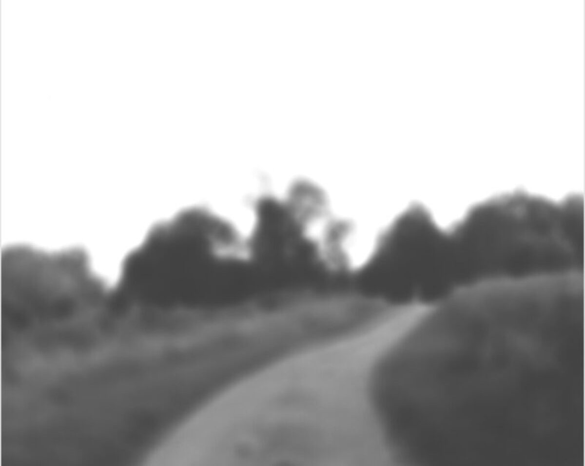 A soft-focus black and white landscape depicting a rural road lined with trees receding into a hazy distance, rendered in subtle gradations of gray with a dreamlike, atmospheric quality.