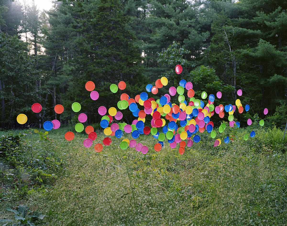 A large cluster of vibrantly colored plastic plates in red, blue, yellow, green, pink, and orange hovers above overgrown vegetation and wildflowers against a dense forest backdrop. The plates are arranged in a loose, floating formation that creates a striking contrast between the artificial bright colors and the natural woodland setting.