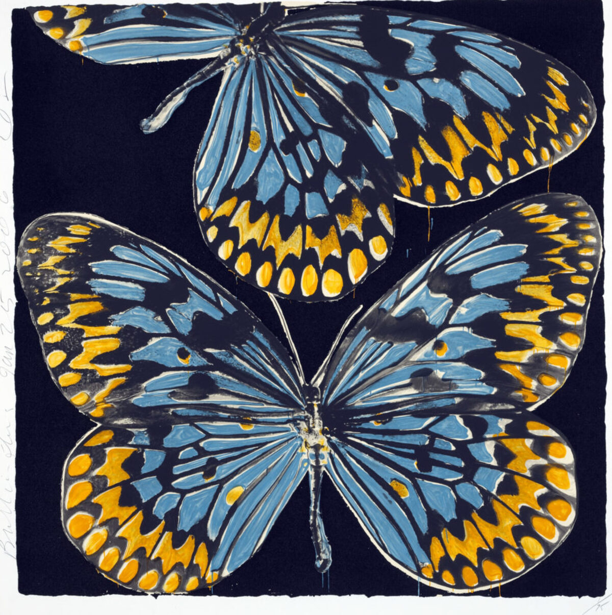 Three stylized butterflies rendered in vibrant blue and golden yellow against a dark navy background, their wings detailed with radiating line work and spotted patterns, executed in a bold graphic style with textured surface finish.
