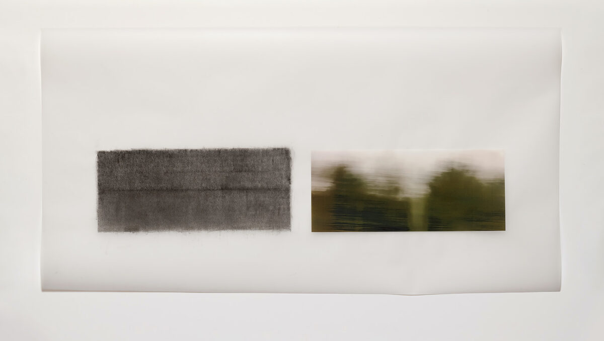 Two horizontal rectangular panels mounted on a white wall: on the left, a dark graphite rubbing with visible texture; on the right, a blurred photograph of trees and sky with horizontal streaking suggesting motion or rain. Both works are printed on translucent vellum.