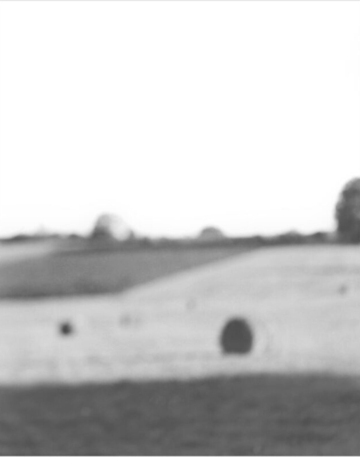 Black and white photograph of a blurred landscape with a flat field in the foreground and trees along the horizon beneath a pale sky. Two dark circular forms appear in the middle ground against the lighter terrain.