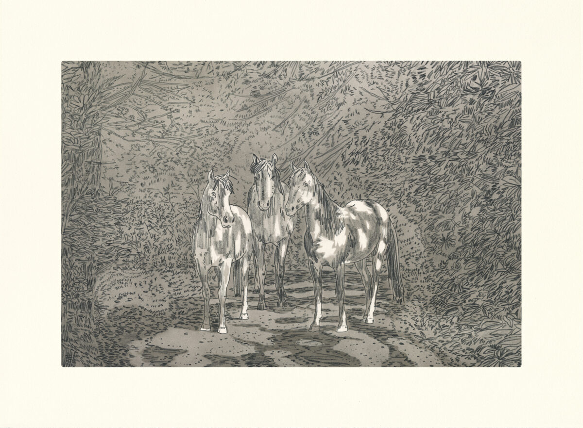Three horses with white markings stand on a forest path, rendered in intricate black and white line work with detailed cross-hatching that fills the dense vegetation surrounding them on both sides.