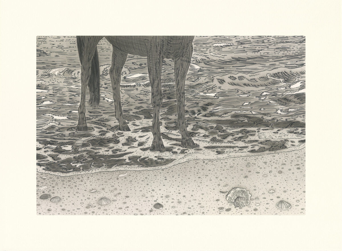 A detailed black and white drawing depicting the lower legs and hooves of an elephant standing in shallow water at a beach, with shells and pebbles scattered across the sand in the foreground and rippling waves visible in the background.