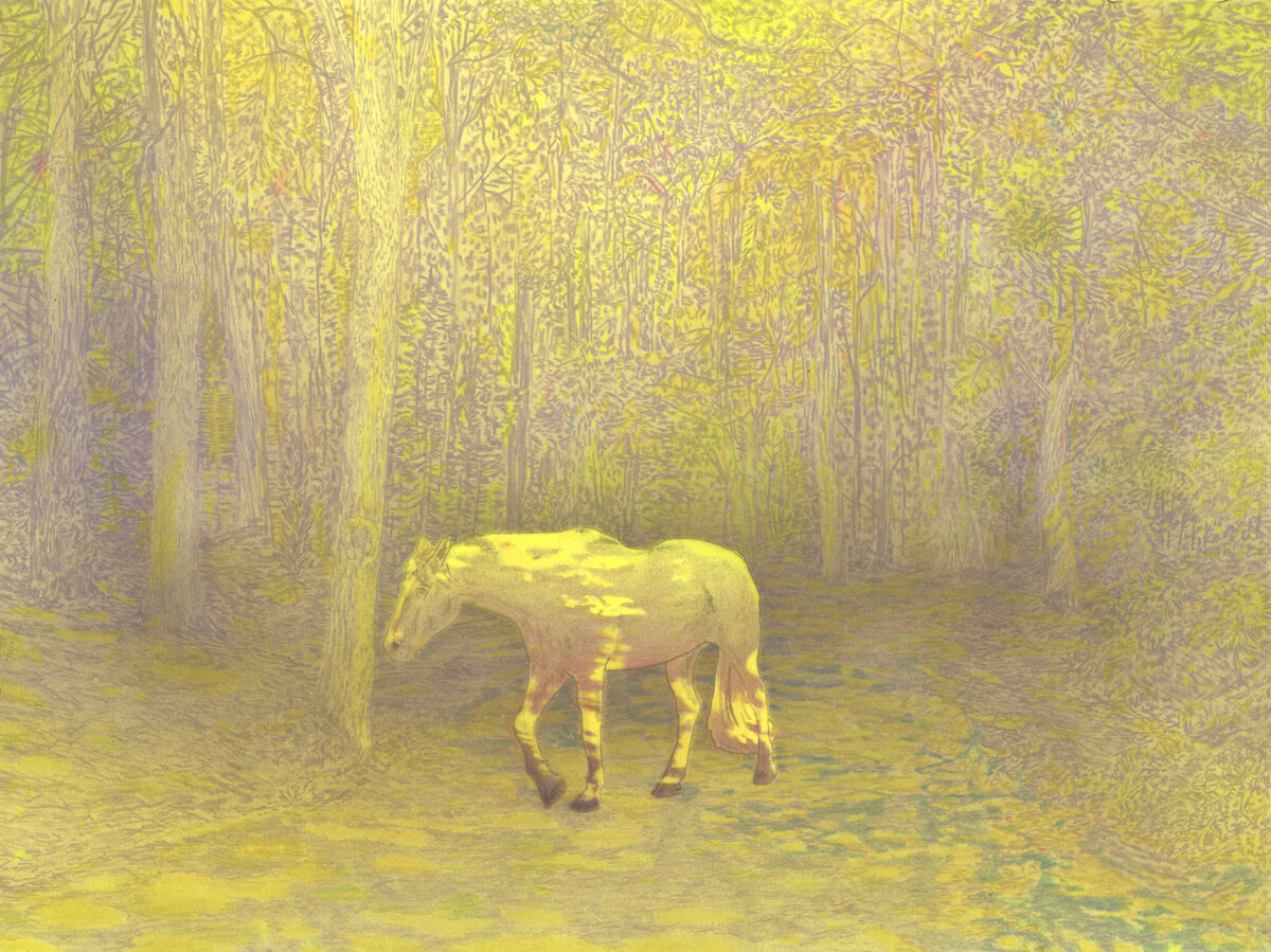 A pale horse stands on a forest path lined with tall trees rendered in muted yellows and grays. The entire composition is suffused with a golden-yellow tone, creating an ethereal, dreamlike atmosphere.