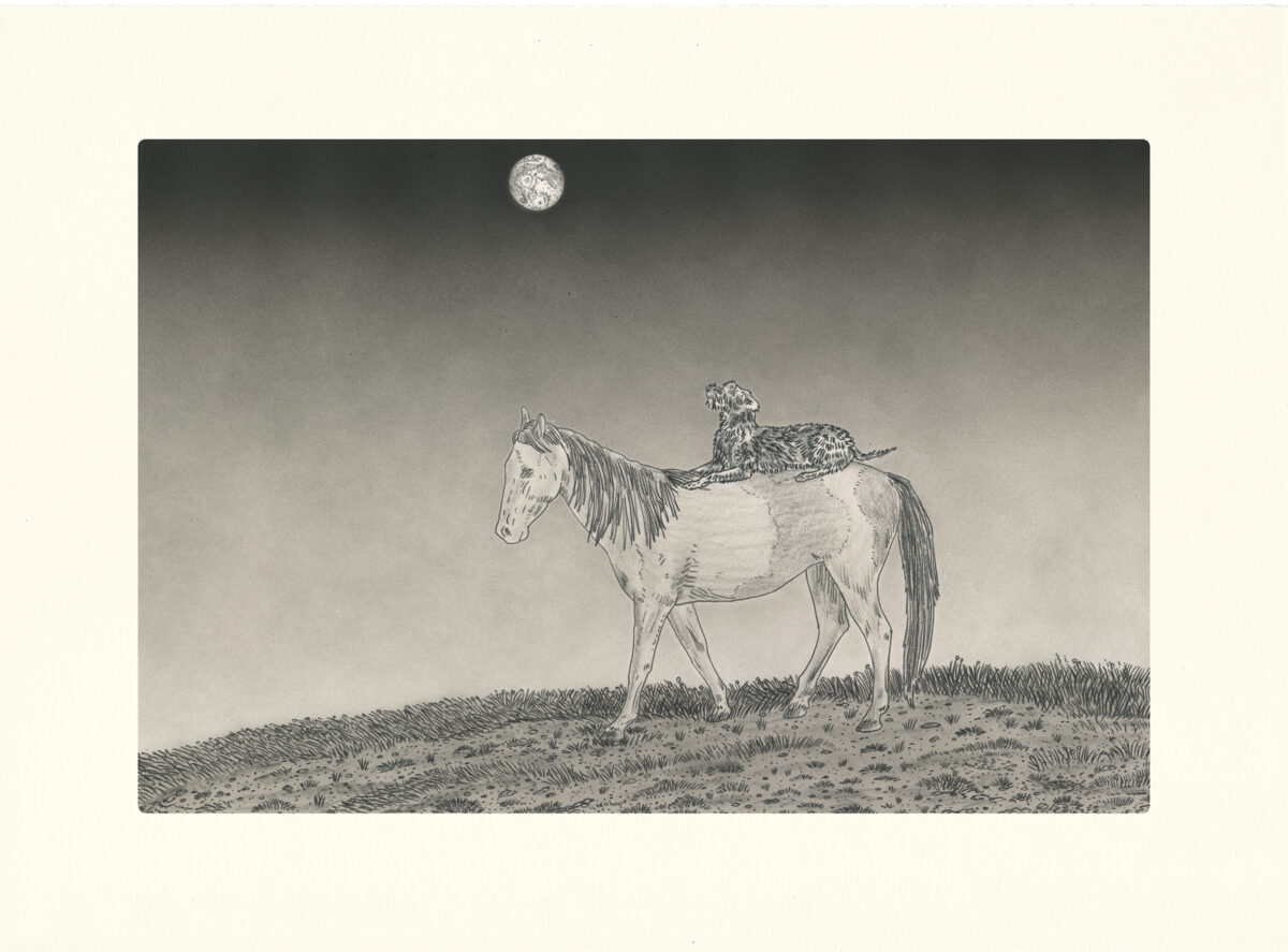 A detailed pencil and ink drawing depicting a horse standing in profile on grassy terrain beneath a moonlit sky. A bird perches on the horse's back, creating an intimate, surreal composition rendered in fine, naturalistic line work against a softly graduated background.