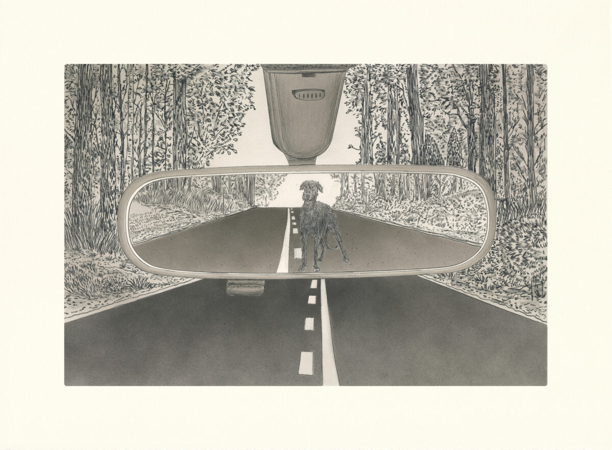 A black and white drawing depicting a view from inside a car on a forest road. Through the windshield and rearview mirror, a solitary dog stands on the center line of the receding road, surrounded by dense woodland. A hanging air freshener hangs from the rearview mirror above.