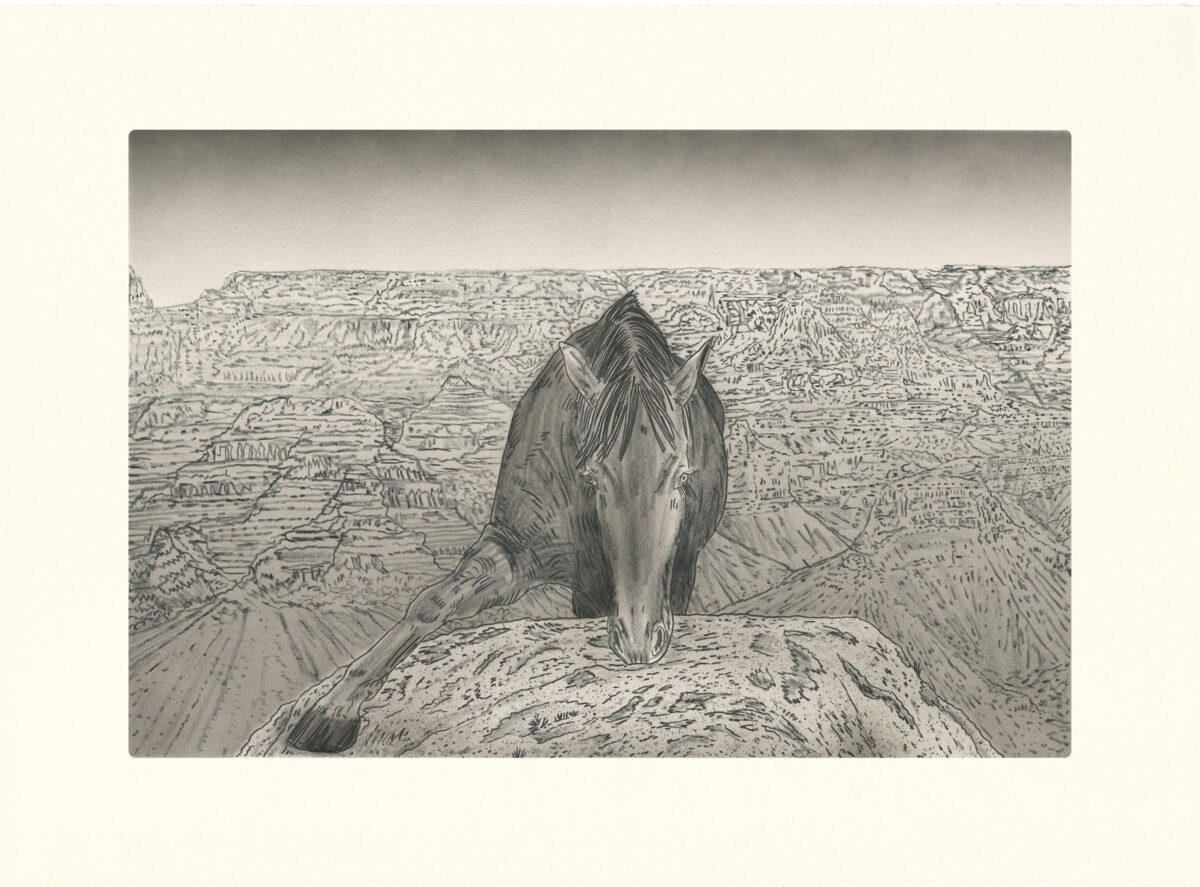 A detailed pencil and ink drawing depicting a horse viewed from behind, lowering its head toward rocky terrain. The horse is rendered with careful cross-hatching and line work, positioned on a rocky outcrop that overlooks an expansive, intricately textured landscape of canyons and plateaus stretching to the horizon.