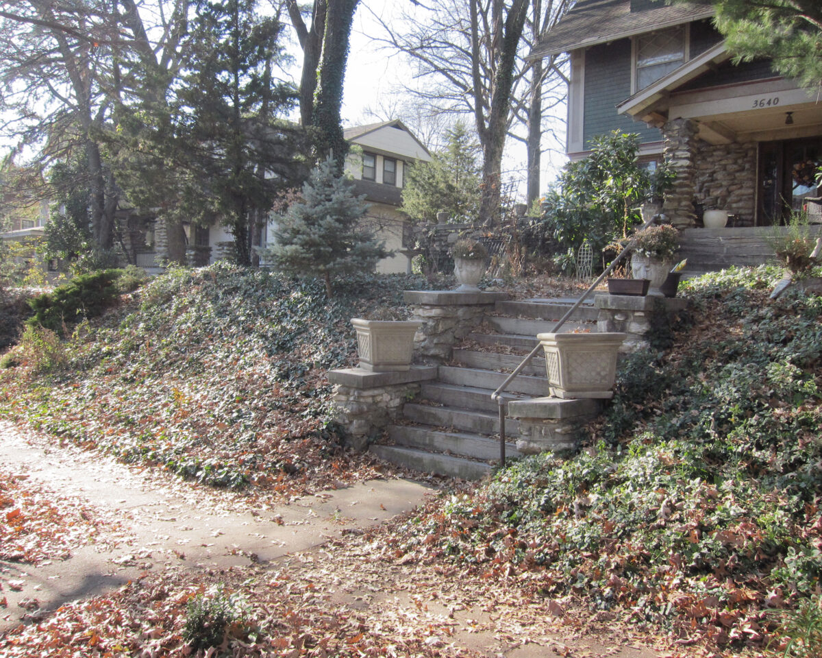 Residential front yard with stone steps leading to a house entrance, flanked by evergreen shrubs and ivy-covered hedges. Bare deciduous trees frame the scene, with fallen autumn leaves scattered across the ground and neighboring houses visible in the background.
