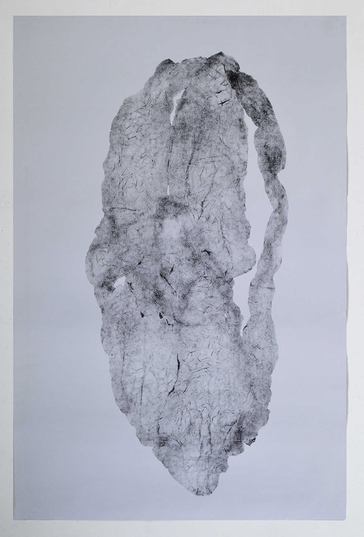 A vertical monoprint in grayscale depicting an abstracted, columnar form with a textured surface of fine lines and organic marks. The pale composition emerges from a light gray background, its irregular edges and darkened areas creating depth and dimensional quality across the elongated shape.