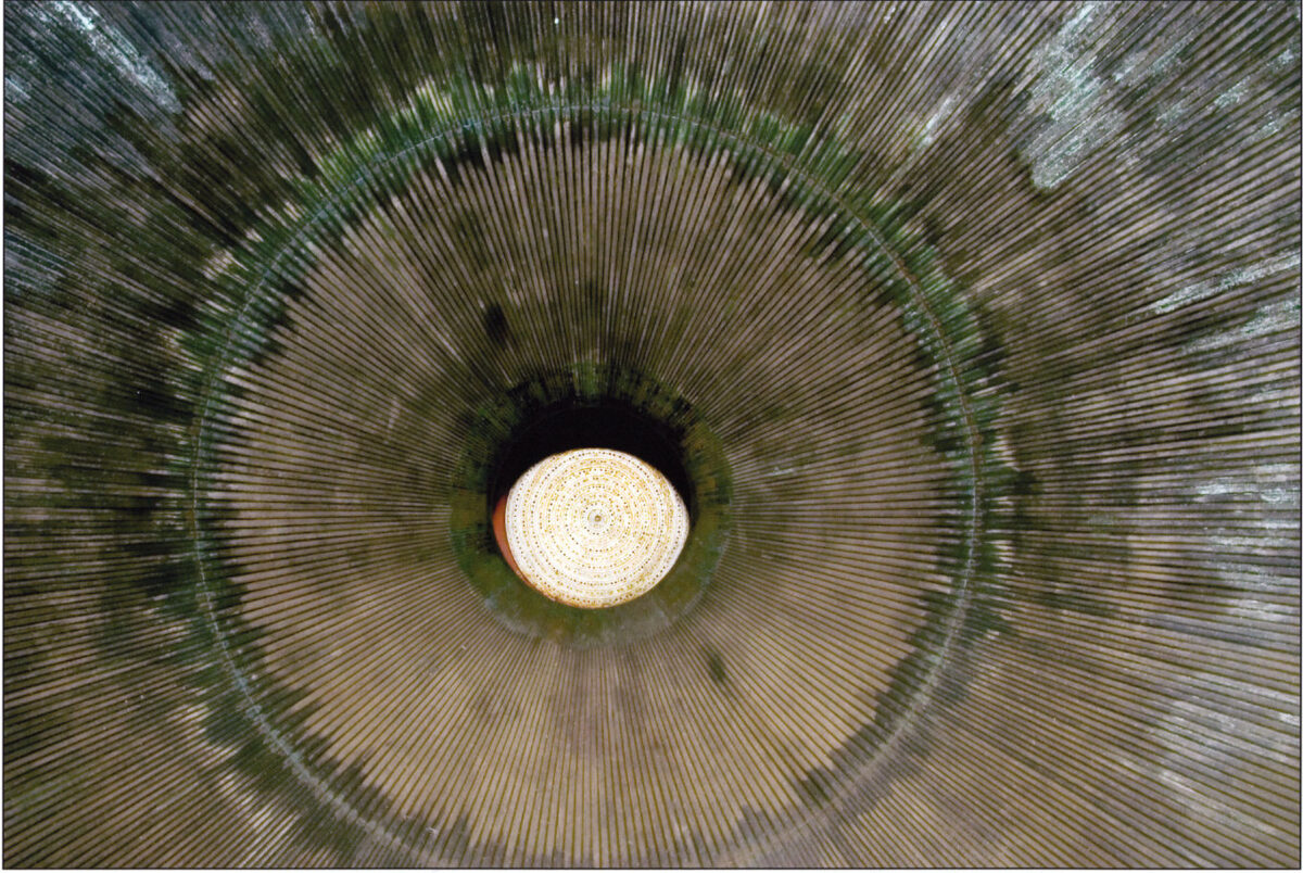 Concentric circles in shades of green, tan, and cream radiate outward from a luminous pale center, creating a hypnotic, tunnel-like composition. Fine linear striations throughout the composition suggest organic growth patterns or microscopic detail rendered at monumental scale.
