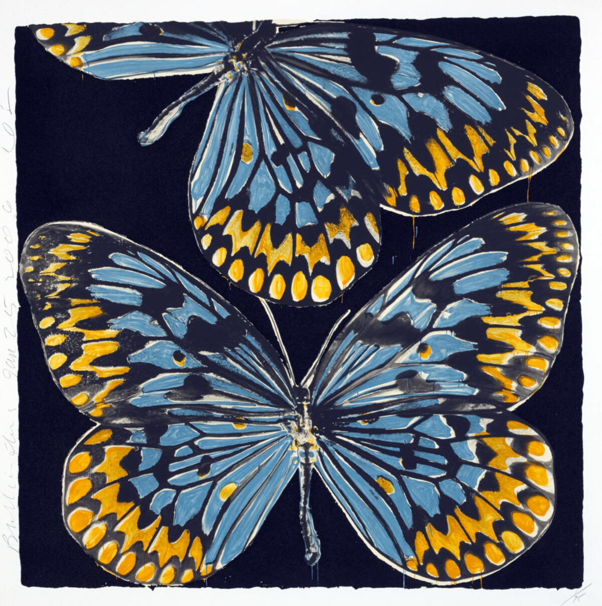 Three stylized butterflies rendered in vibrant blue and golden yellow against a dark navy background, their wings detailed with radiating line work and spotted patterns, executed in a bold graphic style with textured surface finish.