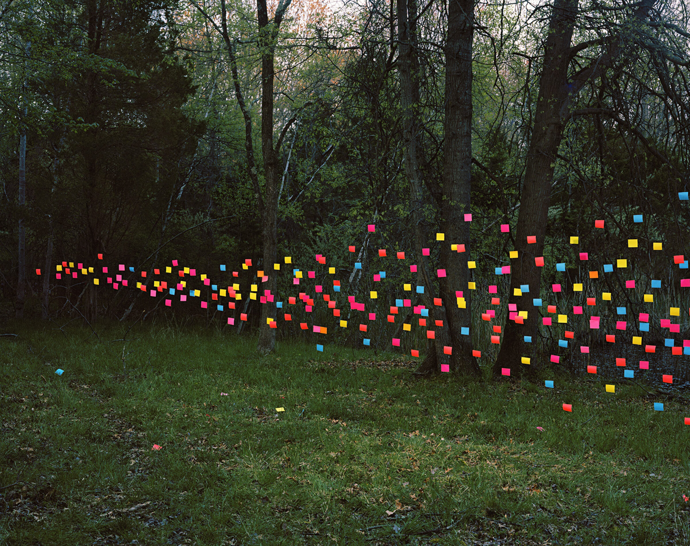 Hundreds of neon-colored Post-it notes arranged in a flowing, wave-like pattern across the base of trees in a dense woodland setting, creating a vibrant contrast against the natural greens and browns of the forest floor.