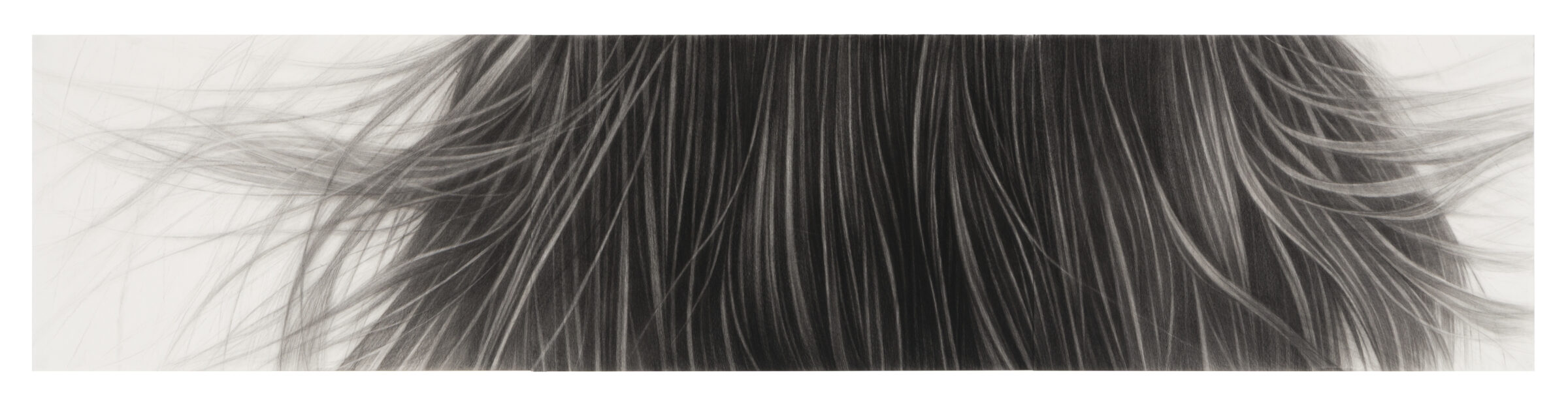 A horizontal composition of dark charcoal strokes rendered on light paper, depicting long, fine strands of hair flowing and dispersing across the surface. The delicate linework creates a sense of movement, with individual strands becoming increasingly wispy and diffuse toward the edges, transitioning from densely packed vertical marks in the center to spare, floating lines at the periphery.