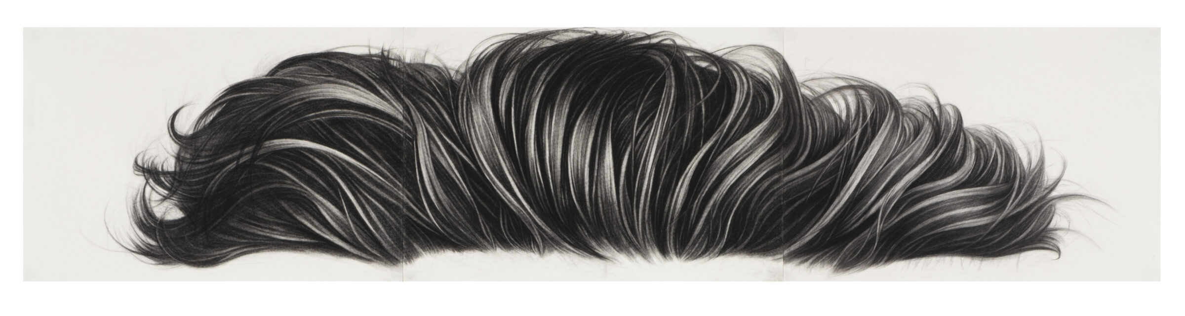 Charcoal drawing of a voluminous, wavy mass of dark hair rendered in flowing strokes across a light background, depicting texture and movement through varying lines and shading.