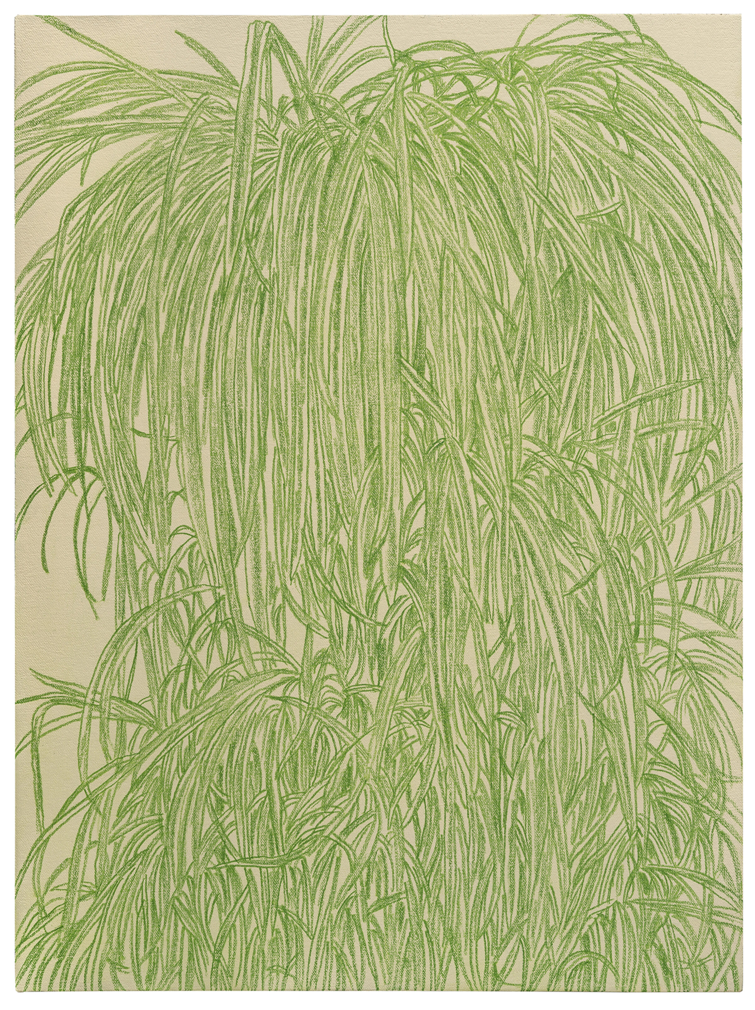 Fine linear drawing in green colored pencil depicting cascading strands of delicate, wispy foliage against a cream-colored linen ground. The composition features densely layered, hair-like marks that create a flowing, weeping plant form with organic movement throughout the vertical composition.