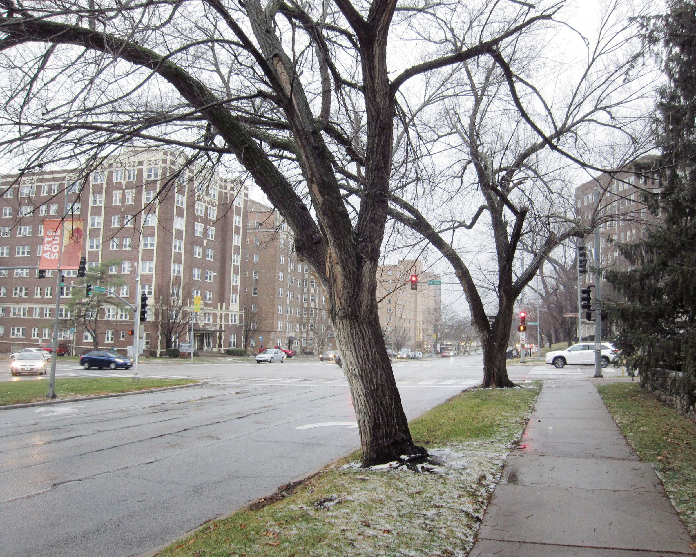 Bare-branched trees line a sidewalk and street intersection in an urban residential area, with brick apartment buildings visible in the background under an overcast sky. The composition captures the skeletal forms of dormant winter trees against a cityscape of mid-rise buildings and traffic signals.