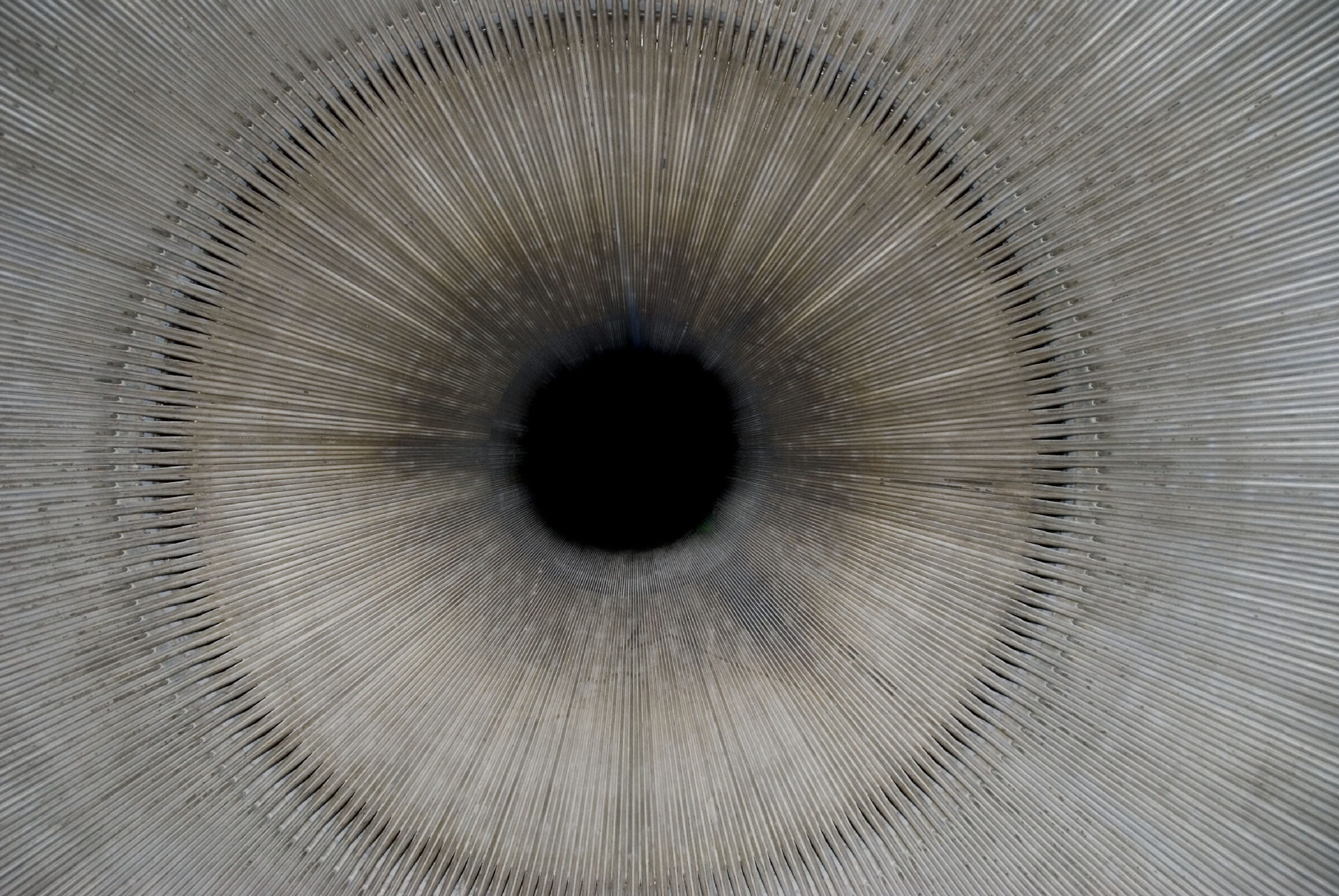 Extreme close-up of a human iris rendered in grayscale, with radiating striations extending outward from a dark pupil toward the outer edge of the frame. Fine linear details create a hypnotic, almost architectural pattern across the entire composition.
