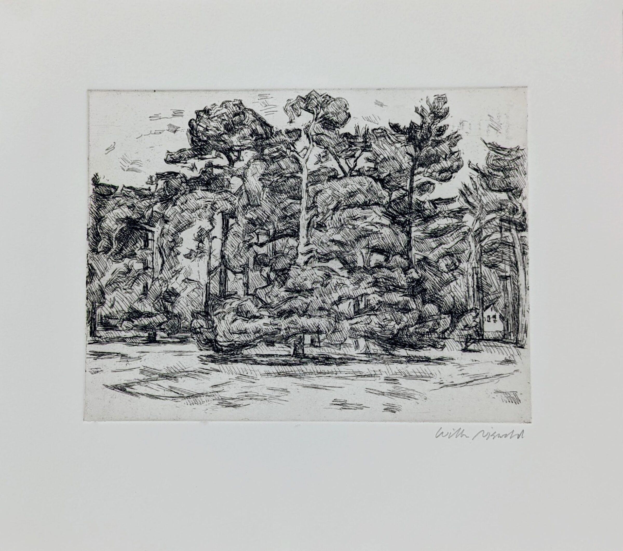 Dense forest landscape rendered in black ink with rapid, gestural hatching lines. Tall pine trees dominate the composition, their trunks and foliage creating a layered, textured canopy against a light ground, with an open foreground suggesting a clearing or water's edge.