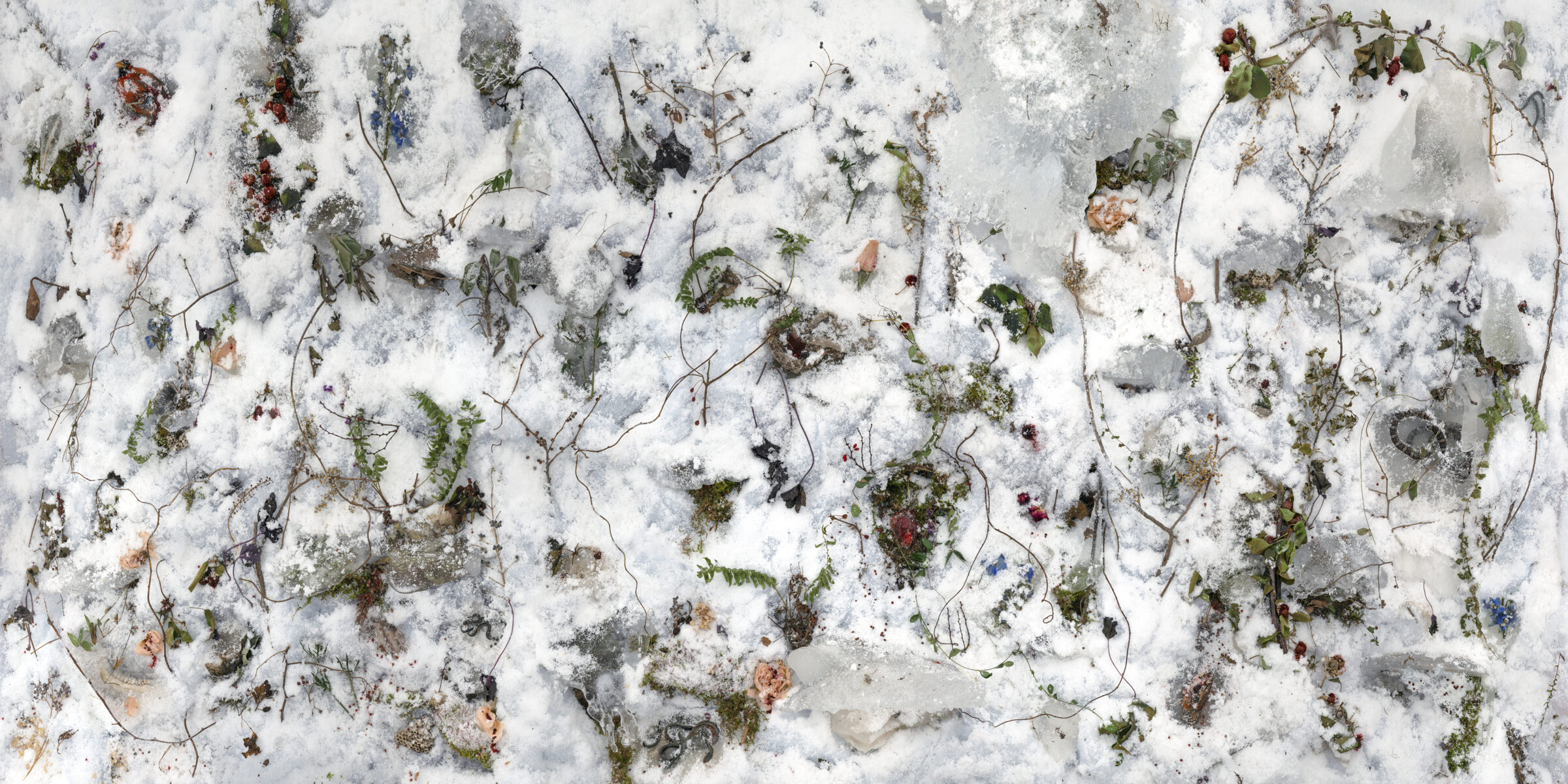 Nº 31 by Tanya Marcuse