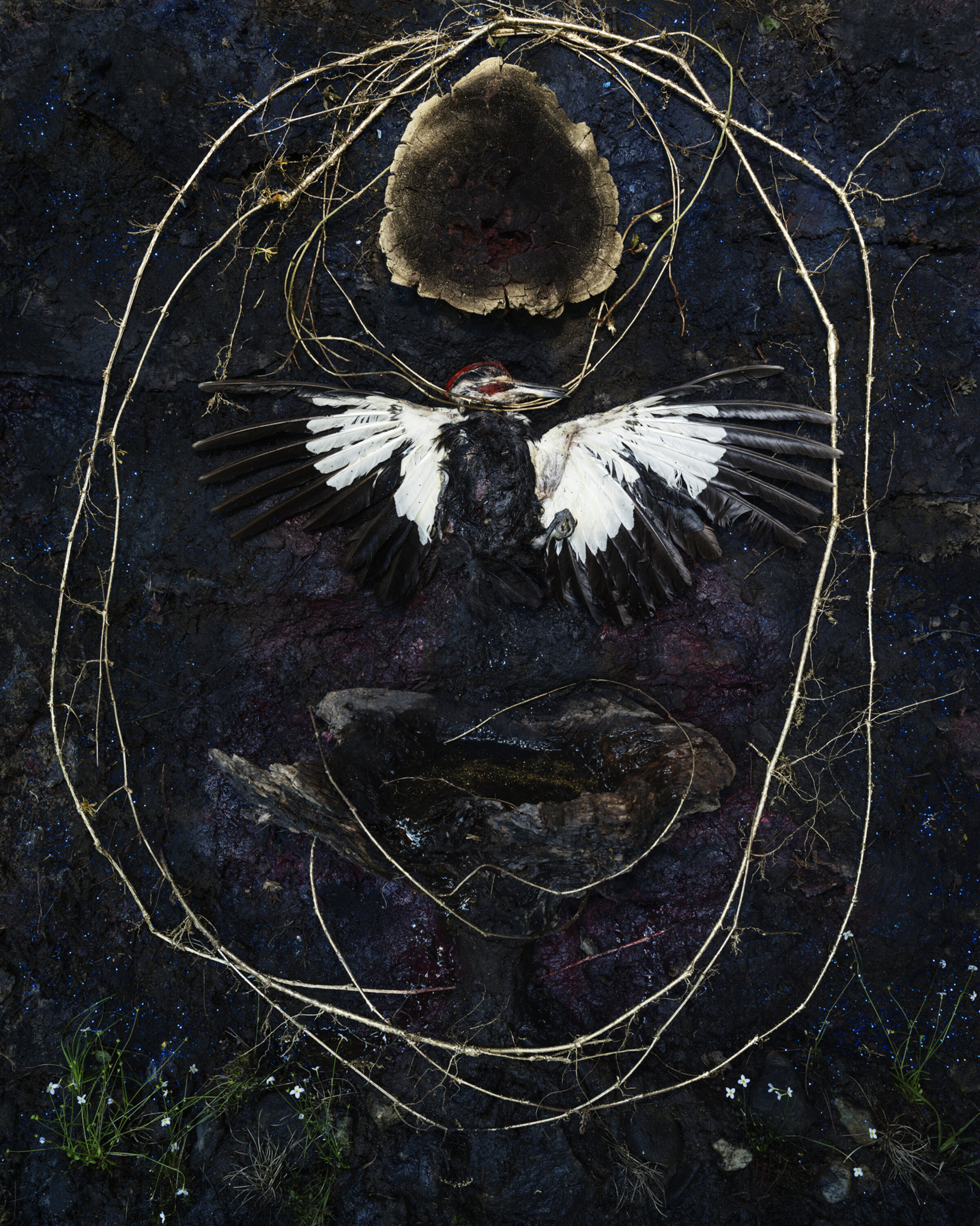 A dark, atmospheric artwork featuring a bird with white and black wings positioned centrally, its body rendered in dark tones. Above the bird is a pale, fungal or organic form, while below is a dark fish-like shape. Delicate golden branches frame the composition in an oval structure, with small white flowers and green vegetation sprouting at the bottom against a deep blue-black textured background.