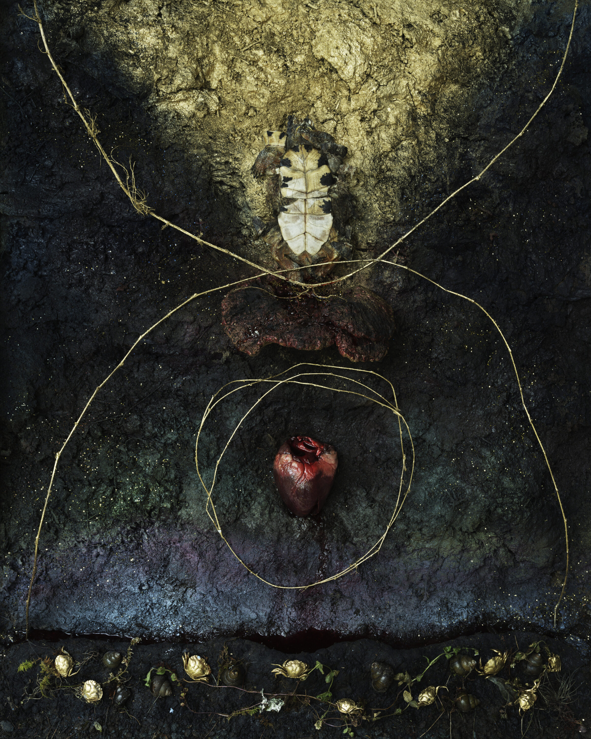 A stylized anatomical figure outlined in gold lines against a weathered, dark textured background. The composition displays a beetle at the head, lungs in the chest cavity, and a deep red heart at the center, with small white flowers arranged along the bottom edge.