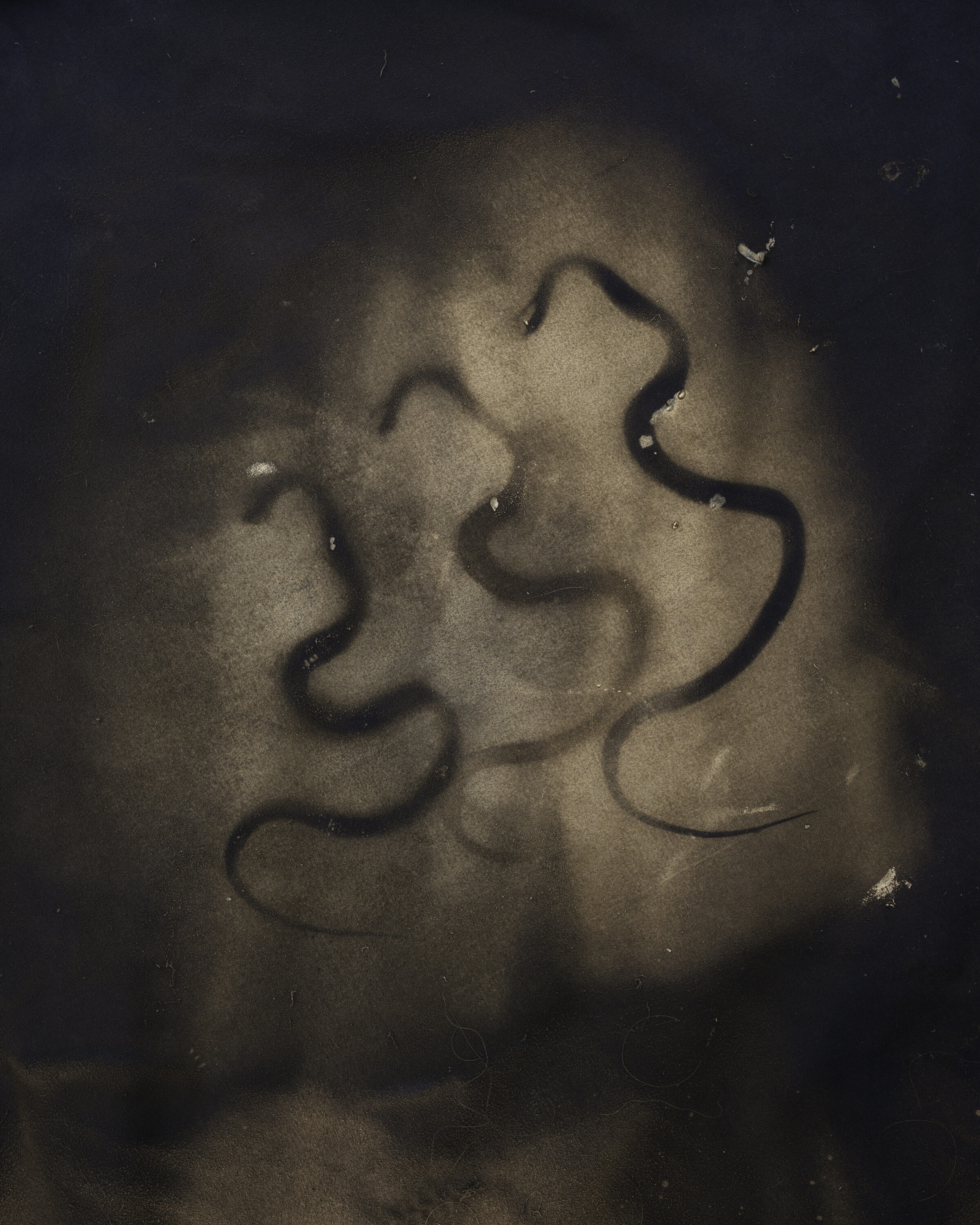 Abstract portrait rendered in muted sepia tones showing two overlapping face profiles in relief against a textured, grainy surface. The sculptural forms create subtle shadows and dimensional quality through soft tonal gradations and surface texture.