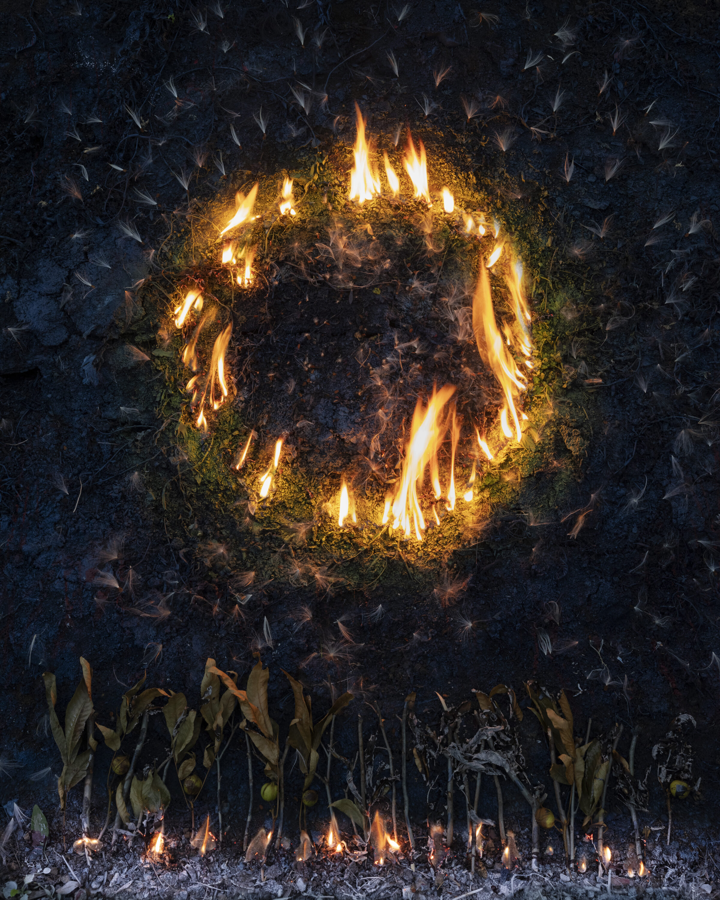 A circular ring of bright flames burns intensely against dark charred earth and moss, surrounded by a night sky filled with falling insects or ash. Withered corn stalks with dried kernels stand in the foreground, also illuminated by small flames at their bases.