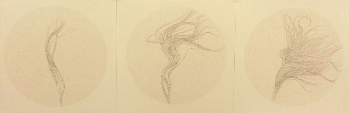 Three delicate pencil sketches on cream-colored paper depicting flowing, wispy strands or flames rendered with fine, gestural linework. The drawings progress from a single sinuous form on the left to increasingly elaborate, multi-directional compositions toward the right.