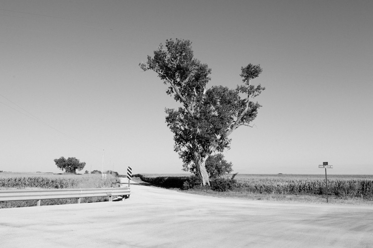 Black and white photograph of a solitary, gnarled tree with a pale trunk standing in a rural landscape. The tree dominates the composition at center, its branching limbs silhouetted against a clear sky, flanked by flat agricultural fields. A paved road curves toward the tree in the foreground, with utility poles and modest structures visible in the distance, creating a stark, minimalist American rural scene.