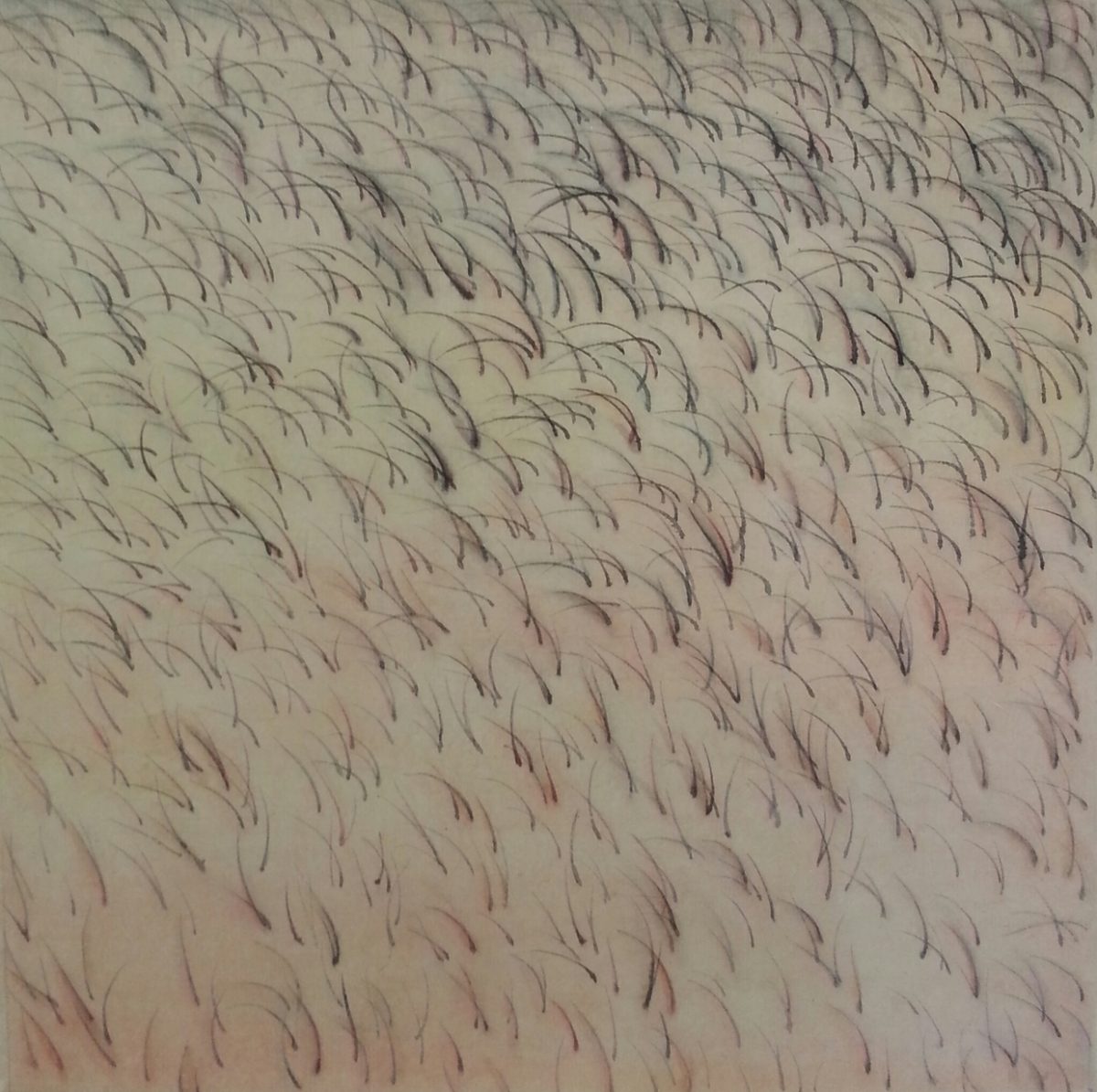 Abstract composition of countless delicate, curved lines in dark brown and black arranged in organic, flowing patterns across a cream and pale pink background, creating the impression of sprouting or growing forms throughout the entire surface.