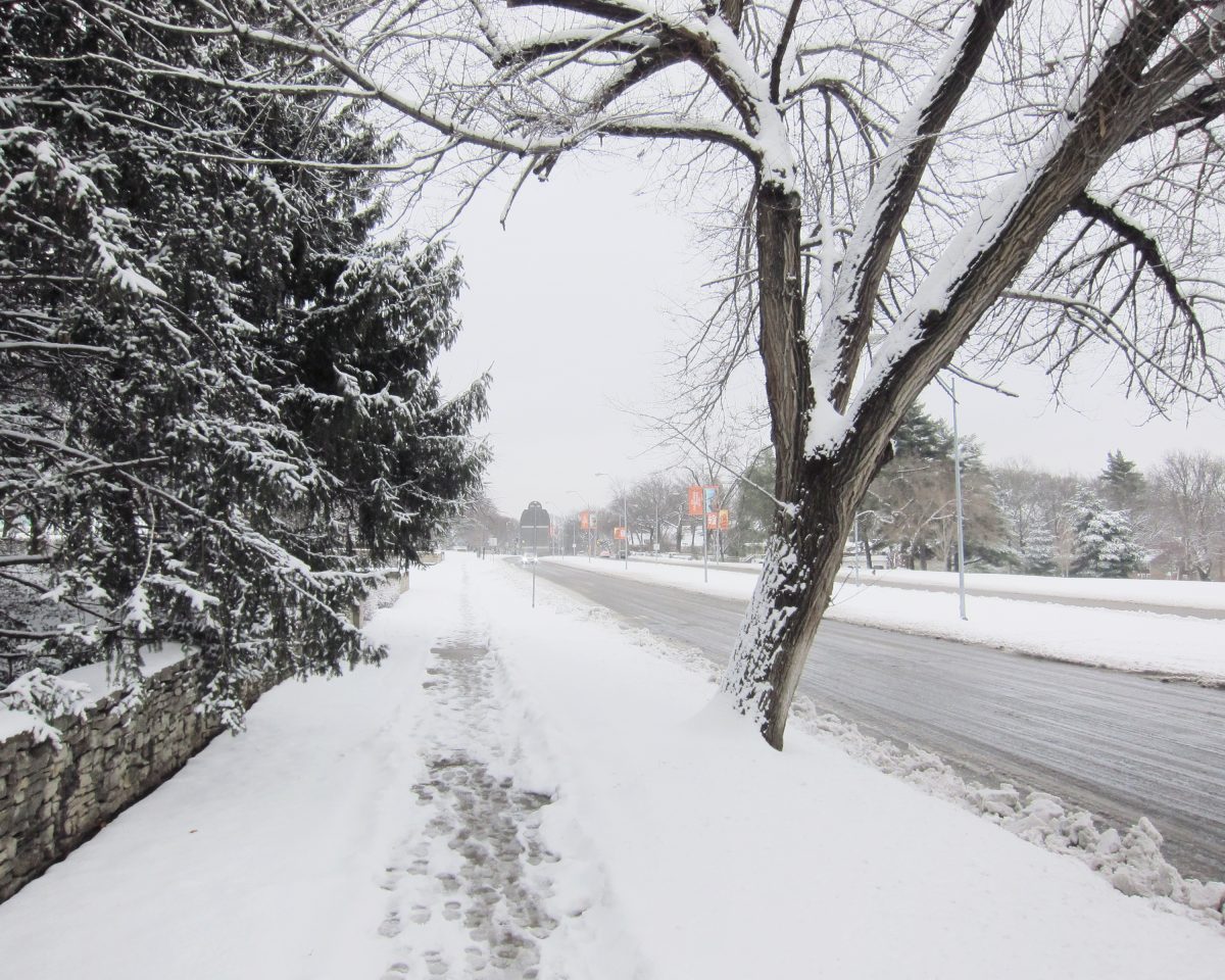 A snow-covered pathway lined with bare trees and evergreen shrubs, with footprints marking a trail through the white landscape. In the distance, a plowed street runs parallel, flanked by lamp posts and additional trees fading into the overcast winter atmosphere.