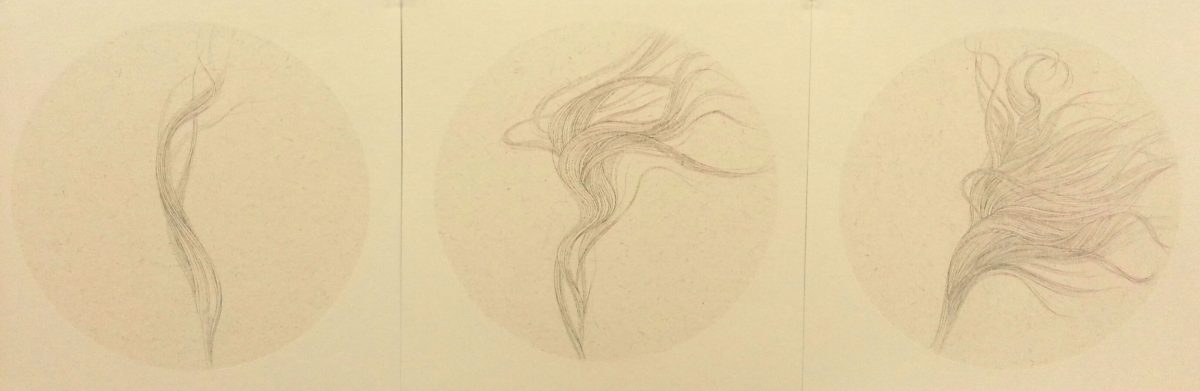 Three delicate pencil sketches on cream-colored paper depicting flowing, wispy strands or flames rendered with fine, gestural linework. The drawings progress from a single sinuous form on the left to increasingly elaborate, multi-directional compositions toward the right.