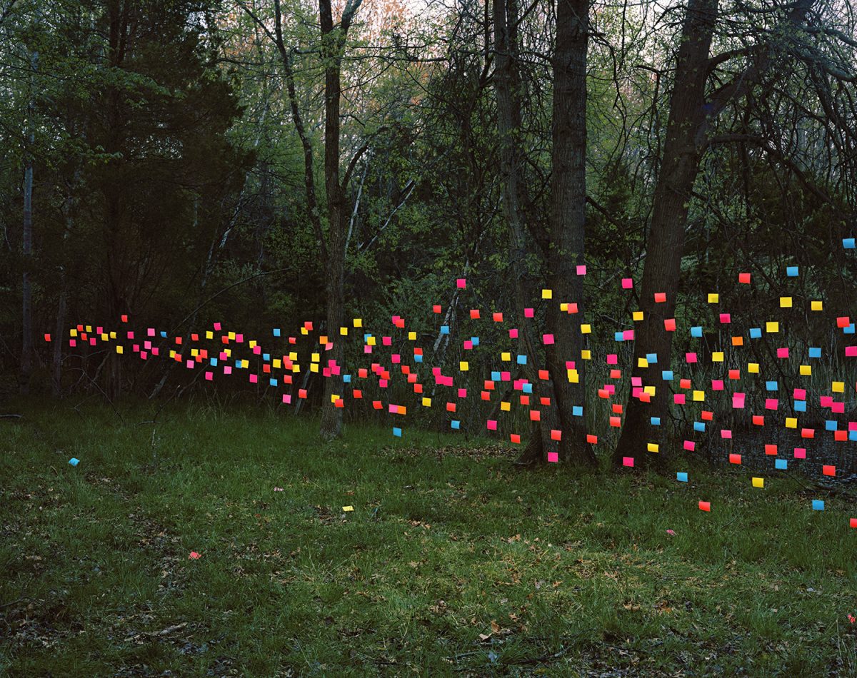 Hundreds of neon-colored Post-it notes arranged in a flowing, wave-like pattern across the base of trees in a dense woodland setting, creating a vibrant contrast against the natural greens and browns of the forest floor.