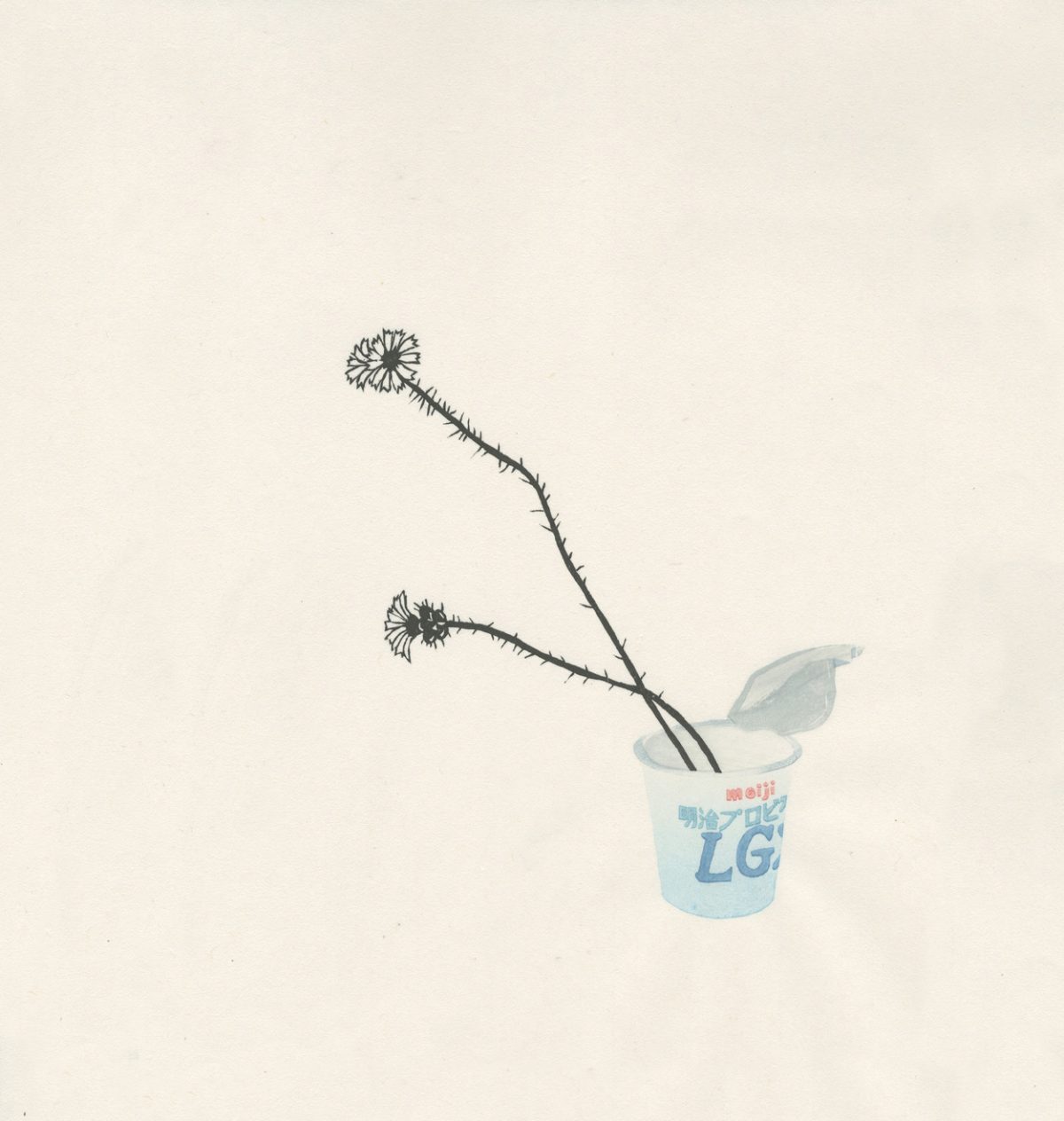 Delicate line drawing of a spiky-stemmed plant with small clustered flowers bending gracefully from a disposable yogurt cup printed with blue text and branding, rendered in black ink and subtle watercolor wash against cream paper.