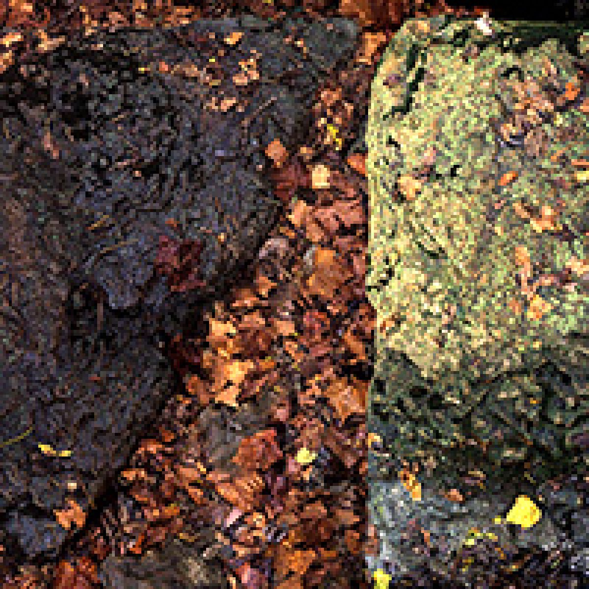 Split composition showing two contrasting rectangular sections: the left side features dark, rust-colored oxidized metal or weathered surface with organic texture, while the right displays moss-covered stone with bright chartreuse-yellow lichen growth. The adjacent surfaces create a stark visual dialogue between decay and living growth.