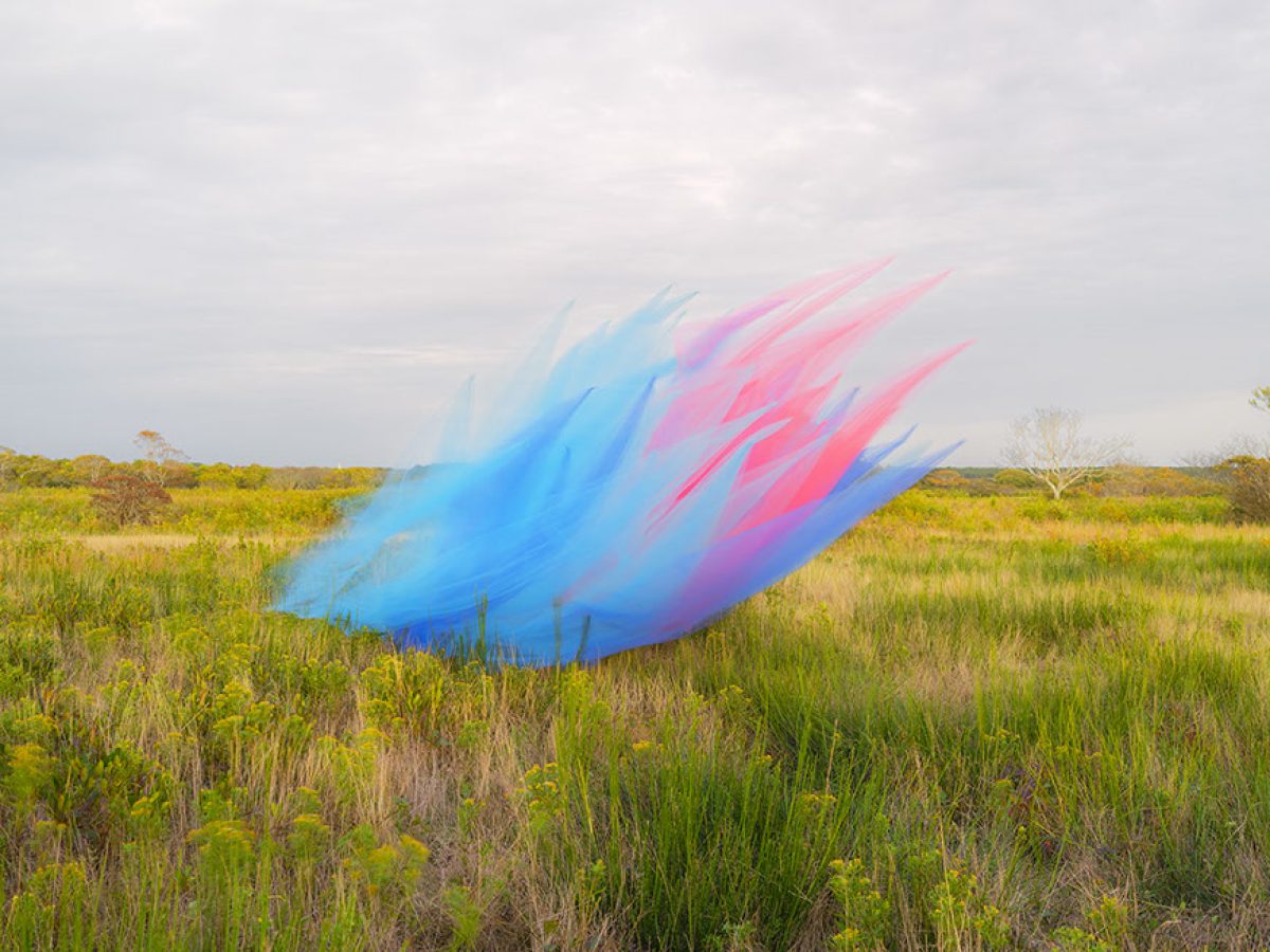 A vibrant, sweeping gesture of blue, pink, and red fabric or material billows across a natural landscape of green marshland and sparse trees under an overcast sky.