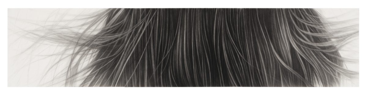 A horizontal composition of dark charcoal strokes rendered on light paper, depicting long, fine strands of hair flowing and dispersing across the surface. The delicate linework creates a sense of movement, with individual strands becoming increasingly wispy and diffuse toward the edges, transitioning from densely packed vertical marks in the center to spare, floating lines at the periphery.