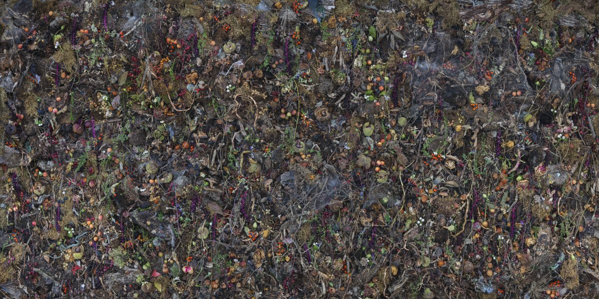 Dense, overhead composition of dried flowers, berries, seeds, and botanical specimens arranged across a dark, textured surface in shades of purple, orange, green, and cream, creating an intricate, all-over pattern suggestive of a natural collection or herbarium.