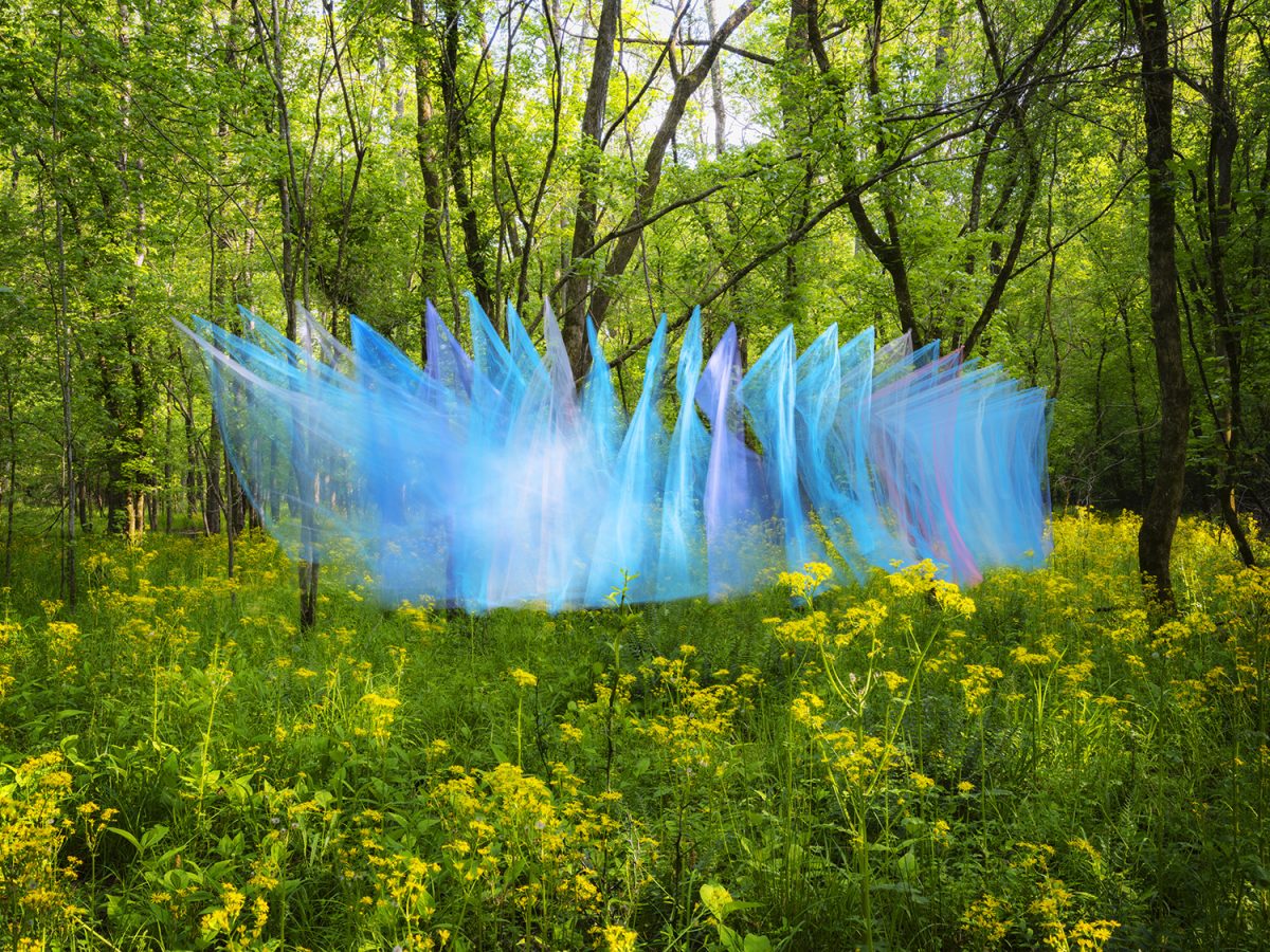 Translucent blue and purple fabric suspended between trees in a sunlit forest clearing dotted with yellow wildflowers, creating an ethereal, billowing form that contrasts with the natural green woodland surroundings.
