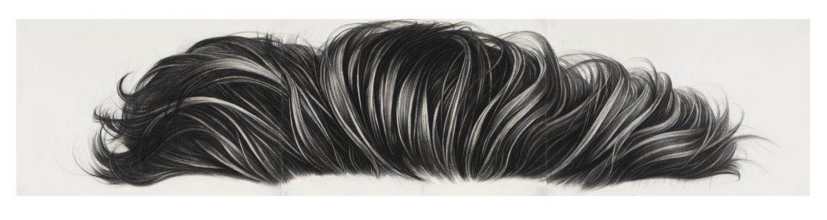 Charcoal drawing of a voluminous, wavy mass of dark hair rendered in flowing strokes across a light background, depicting texture and movement through varying lines and shading.