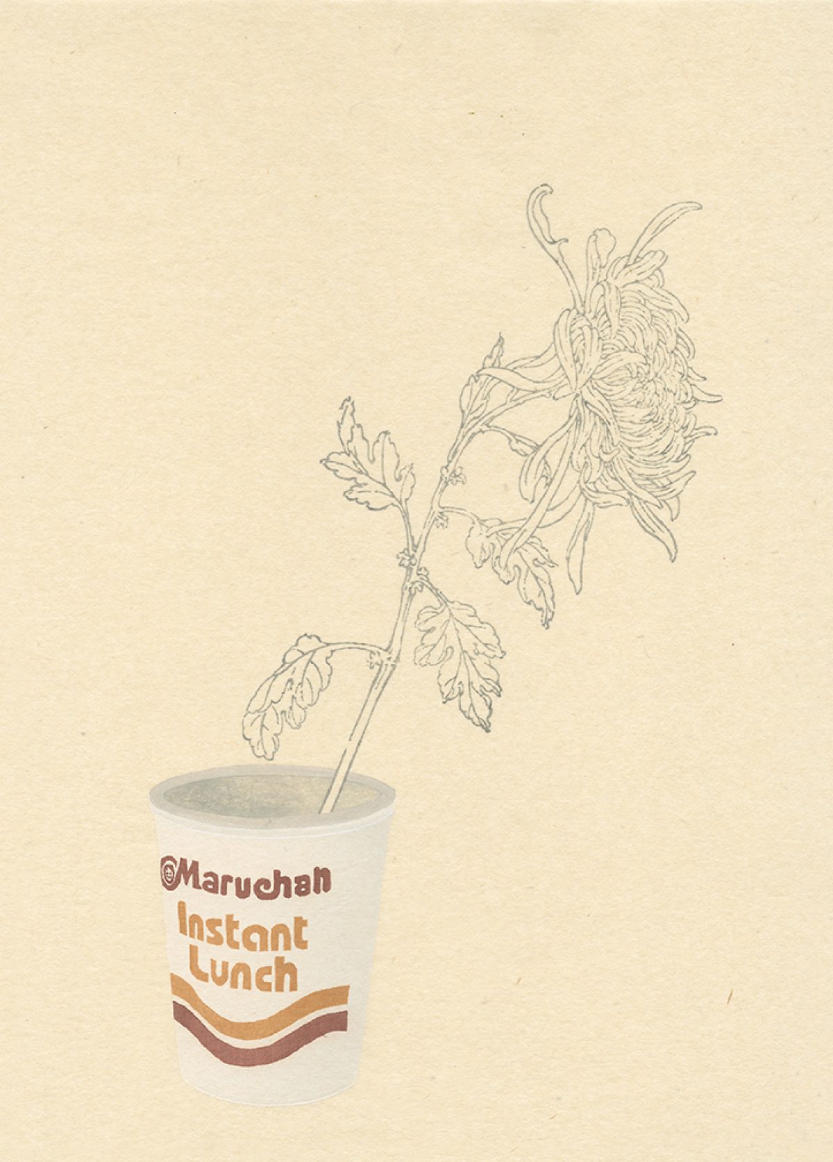 A delicate line drawing of a flowering plant with drooping petals emerges from a white cup labeled "Maruchan Instant Lunch" in orange and brown lettering against a cream-colored background. The botanical subject contrasts with the humble commercial packaging, rendered in a minimal, sketch-like style.
