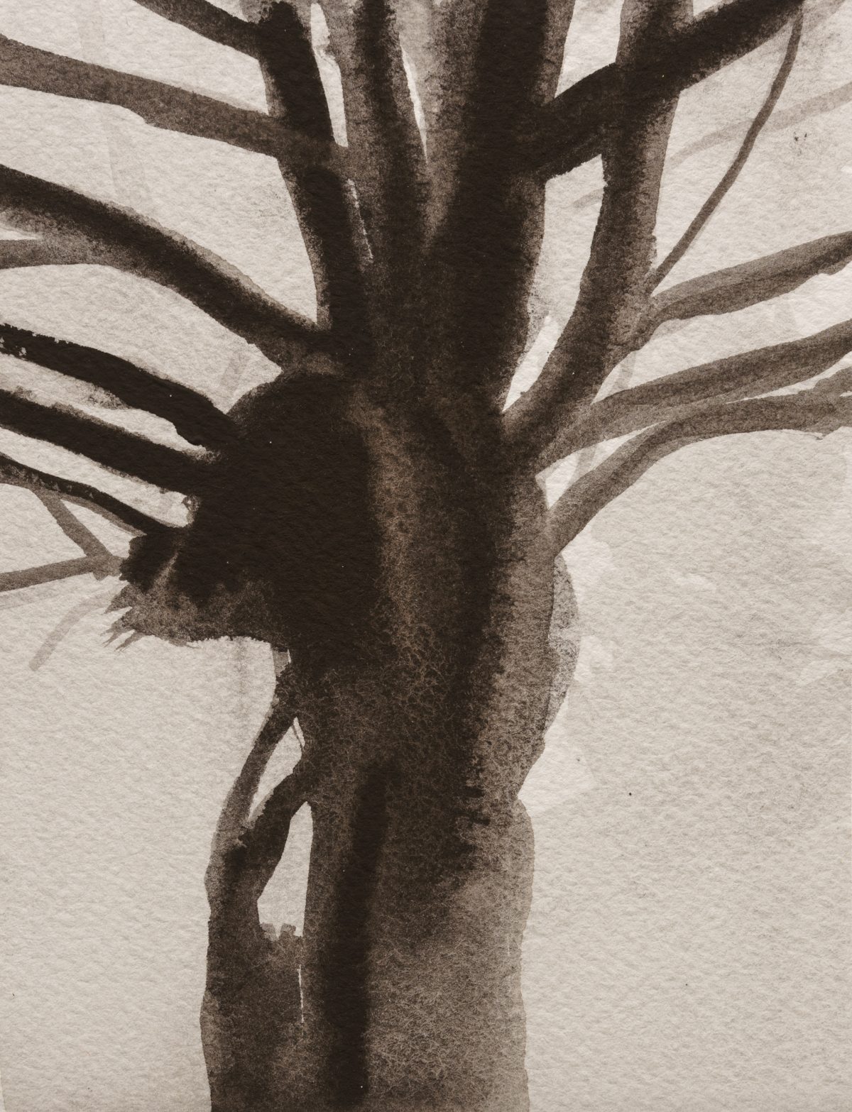 A monochromatic gouache painting depicting a tree trunk viewed from below, its branches radiating outward in sharp, angular forms against a pale background. The composition emphasizes dramatic shadows and strong contrasts, creating an architectural quality to the organic subject.