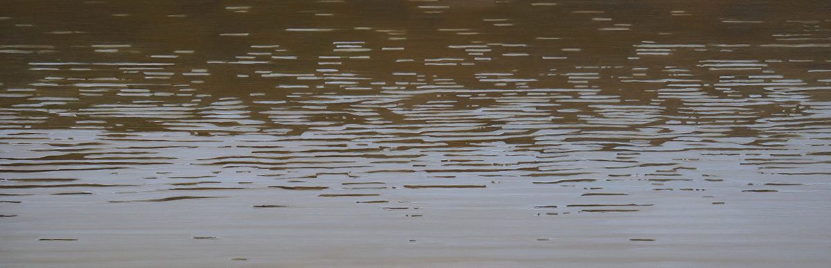 Abstract horizontal composition with layered brushstrokes in muted tones of brown, gray, and blue-gray, creating a textured surface that suggests water or landscape terrain with subtle depth and movement across the panel.