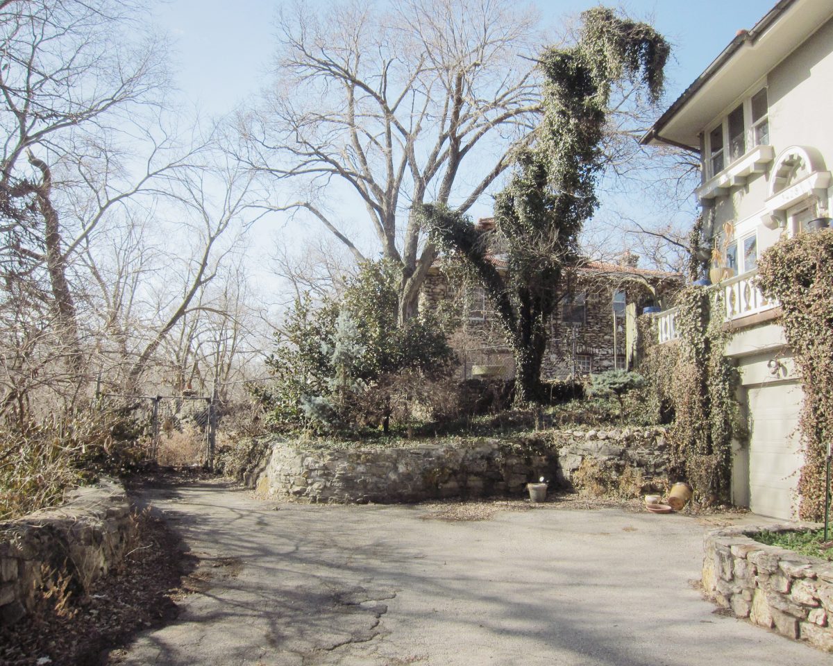 Overgrown courtyard bounded by stone and stuccoed buildings with ivy-covered walls and bare trees, shot in natural daylight with clear shadows cast across the weathered pavement.