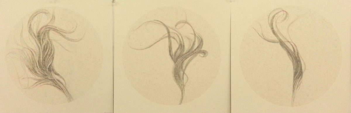 Three delicate ink drawings on cream-colored paper depicting organic, flowing forms with curling tendrils and wispy, hair-like strands rendered in soft gray and black tones. The sketches are arranged horizontally across the page with subtle variations in composition and movement.